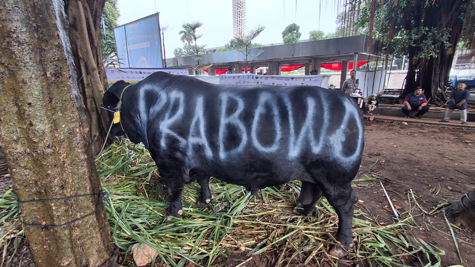 Prabowo (1)